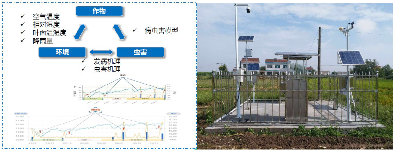 “5G+智慧農(nóng)業(yè)”的農(nóng)業(yè)大數(shù)據(jù)平臺(tái)該怎么做？