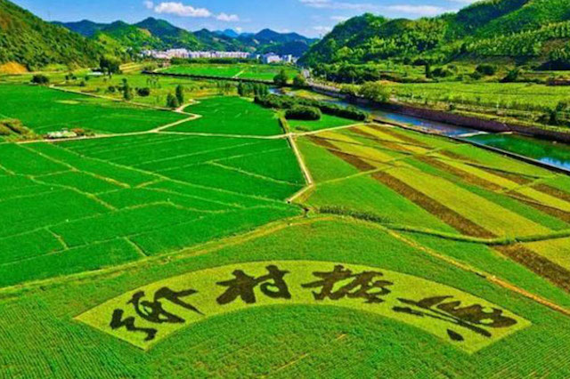 國(guó)家大力扶持鄉(xiāng)村振興，年輕人不可錯(cuò)過(guò)的5個(gè)創(chuàng)業(yè)機(jī)會(huì)！