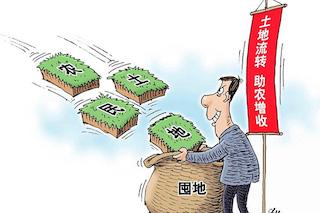 土地流轉(zhuǎn)意義重大，但真實(shí)的現(xiàn)狀并不理想