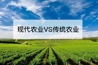 現(xiàn)代農(nóng)業(yè)VS傳統(tǒng)農(nóng)業(yè)，誰會更勝一籌？