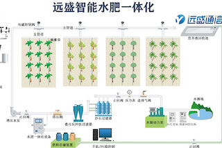 如何選擇水肥一體化設(shè)備？從這幾個(gè)方面入手！