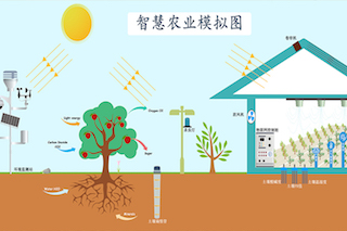 智慧農(nóng)業(yè)種植中，需要用到哪些傳感器？