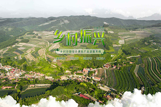 三農(nóng)一號(hào)文件工作重心，再次聚焦鄉(xiāng)村振興