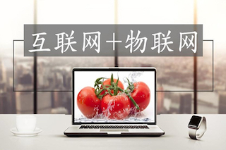 互聯(lián)網(wǎng)時(shí)代的高效農(nóng)業(yè)，你真的了解么？