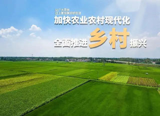 國家大力發(fā)展鄉(xiāng)村振興，但需要規(guī)避的五種傾向你知道嗎？