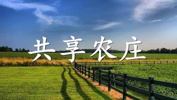 共享農(nóng)莊“共”的是什么？.jpeg