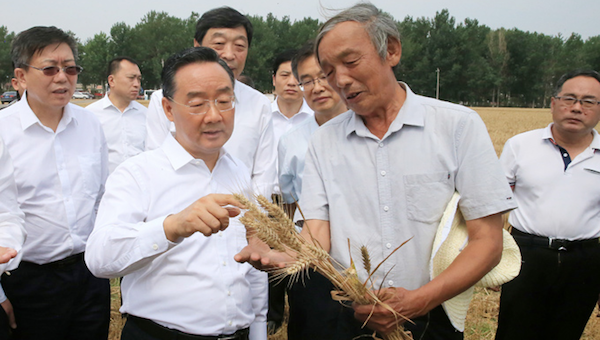 夏糧經(jīng)過(guò)國(guó)家各部門(mén)研判，產(chǎn)量創(chuàng)歷史新高.png