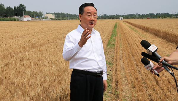 夏糧豐收了，全年經(jīng)濟(jì)就托底了.png