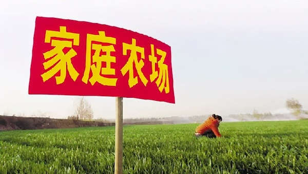 什么是家庭農(nóng)場？.jpeg