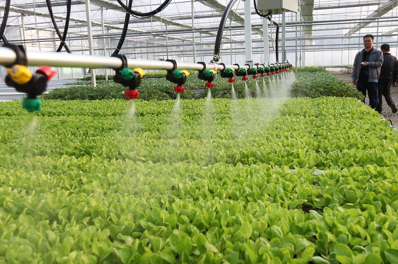 使用水肥一體機(jī)對(duì)于種植有哪些好處？.jpg