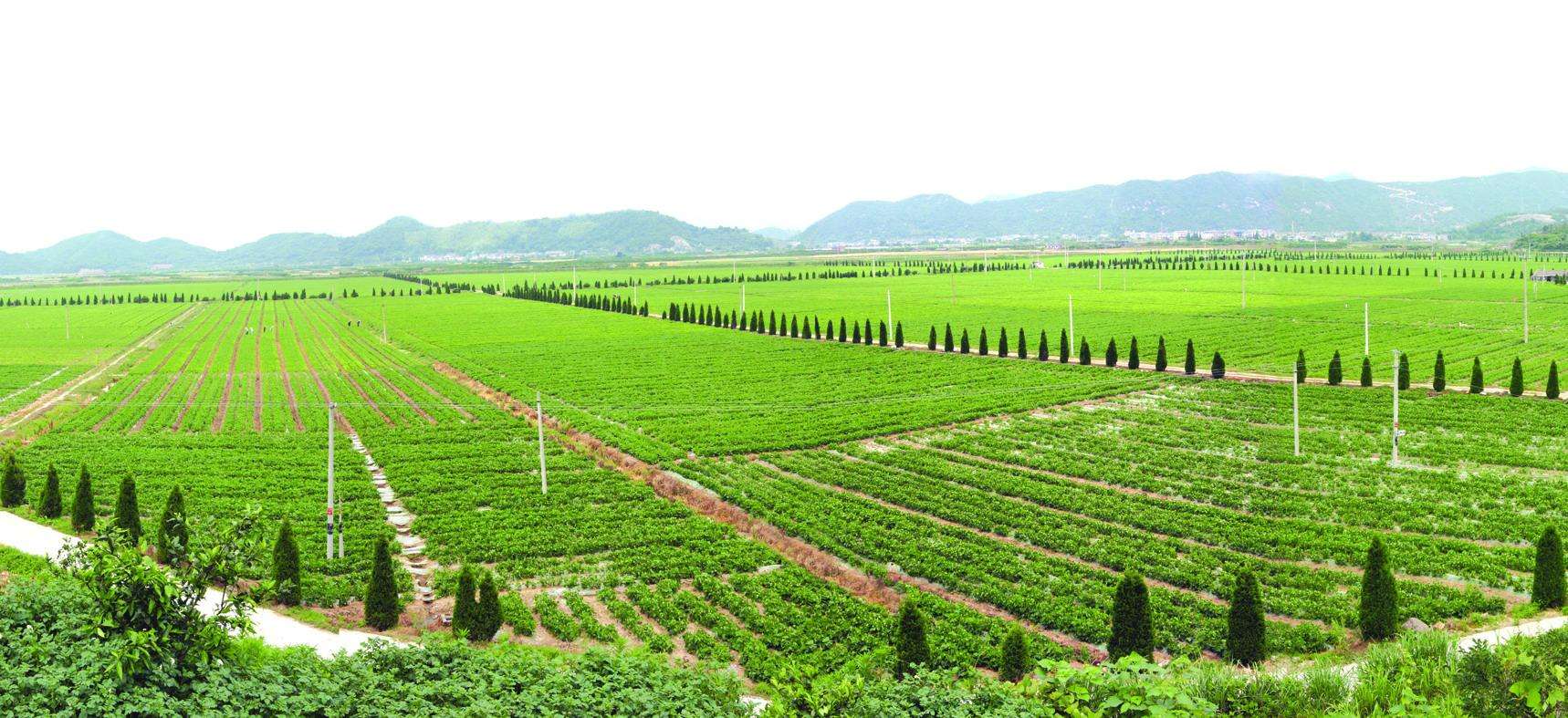 發(fā)達(dá)國(guó)家的智慧農(nóng)業(yè)是什么樣的？.jpg