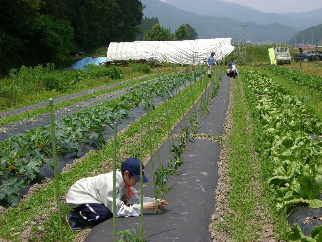 我們可以借鑒美國、日本的農(nóng)業(yè)發(fā)展模式，尋找屬于自己的農(nóng)業(yè)發(fā)展道路。.jpg